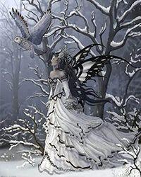 夫人又私奔了作者心间似雪